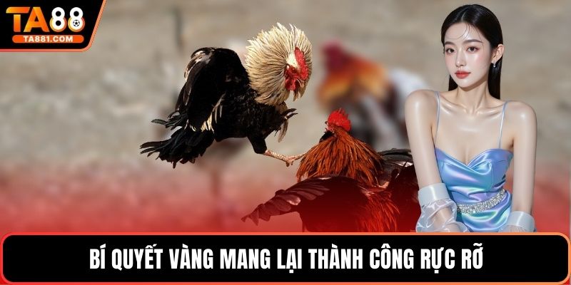 Bí quyết vàng mang lại thành công rực rỡ