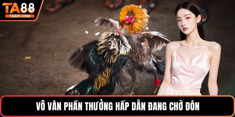 Vô vàn phần thưởng hấp dẫn đang chờ đón